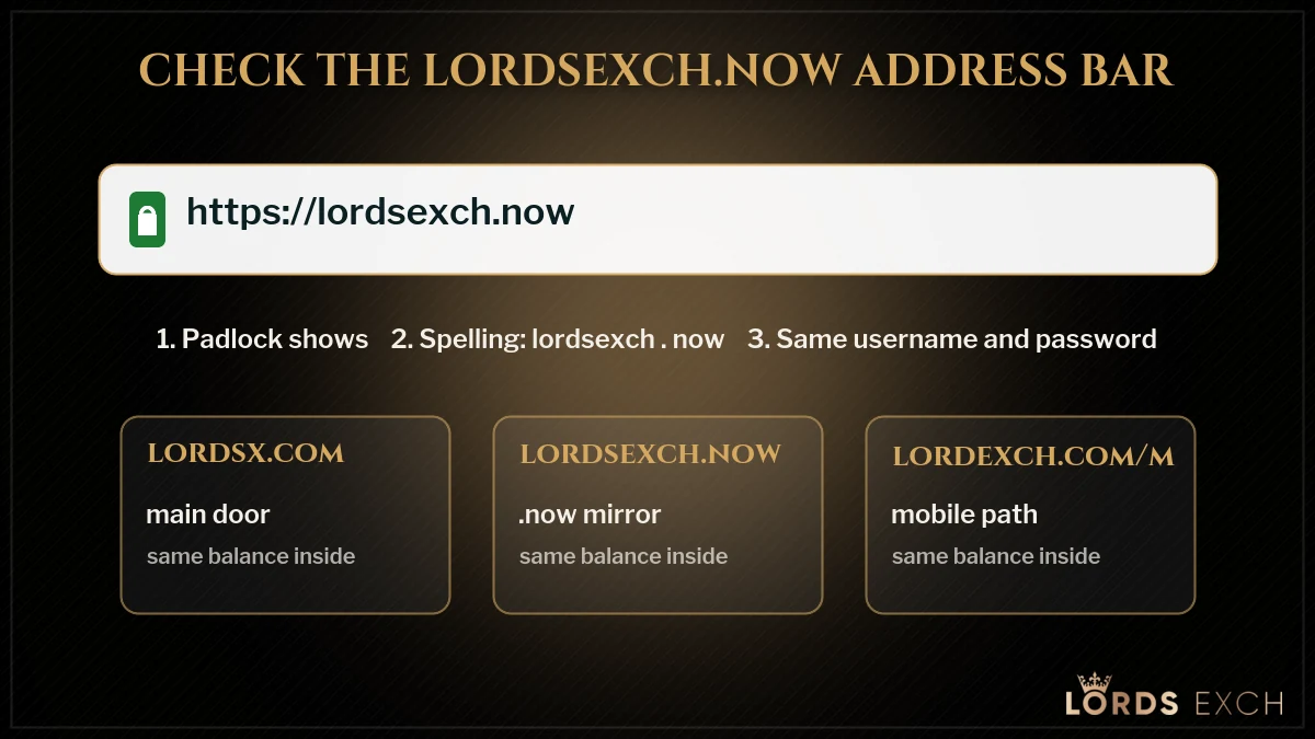 Checking the padlock on lordsexch.now before Lords Exchange login